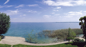 standard-lago-vista